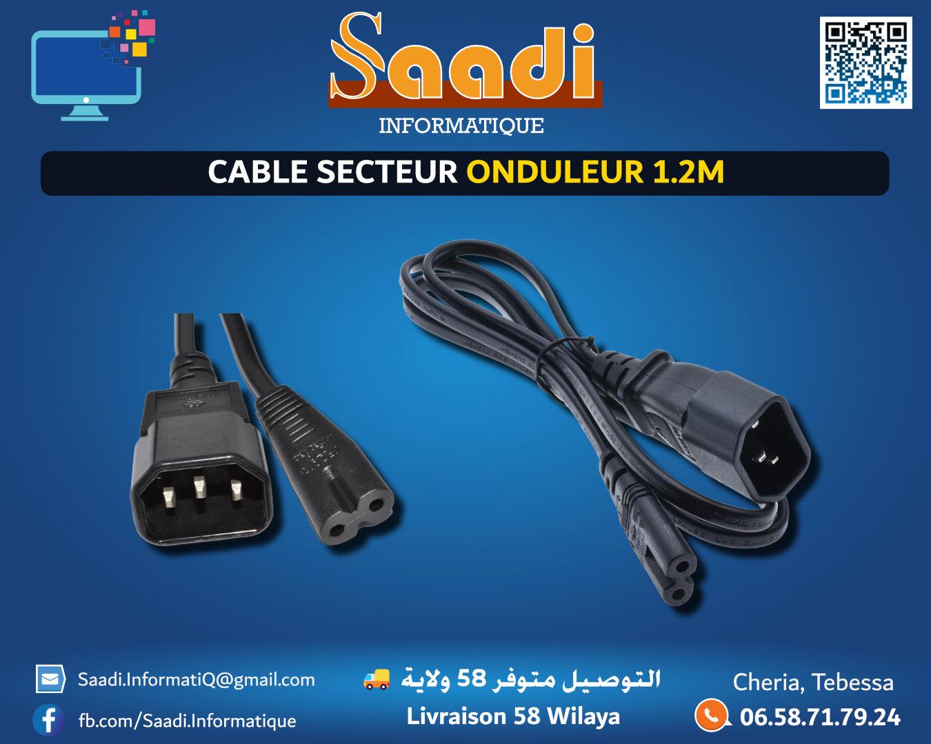 CABLE SECTEUR ONDULEUR 1.2M