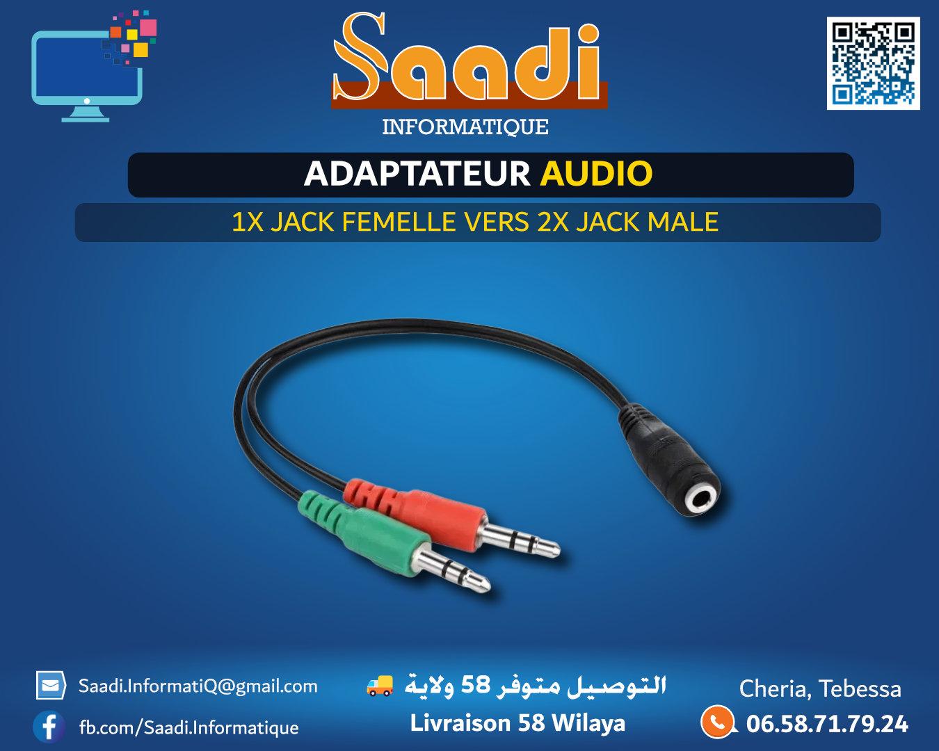 ADAPTATEUR AUDIO 1X JACK FEMELLE VERS 2X JACK MALE
