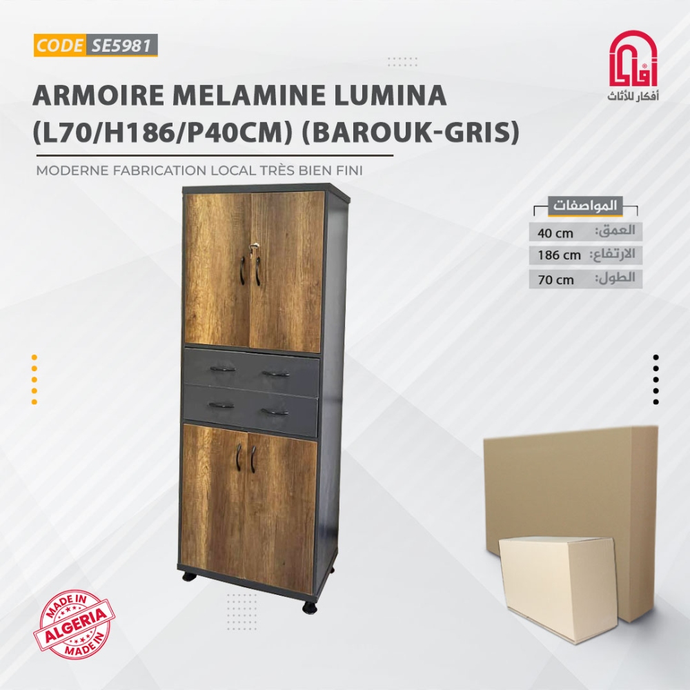 Armoire ML LUMINA (L70/H186/P40cm) Barouk Gris Fonce