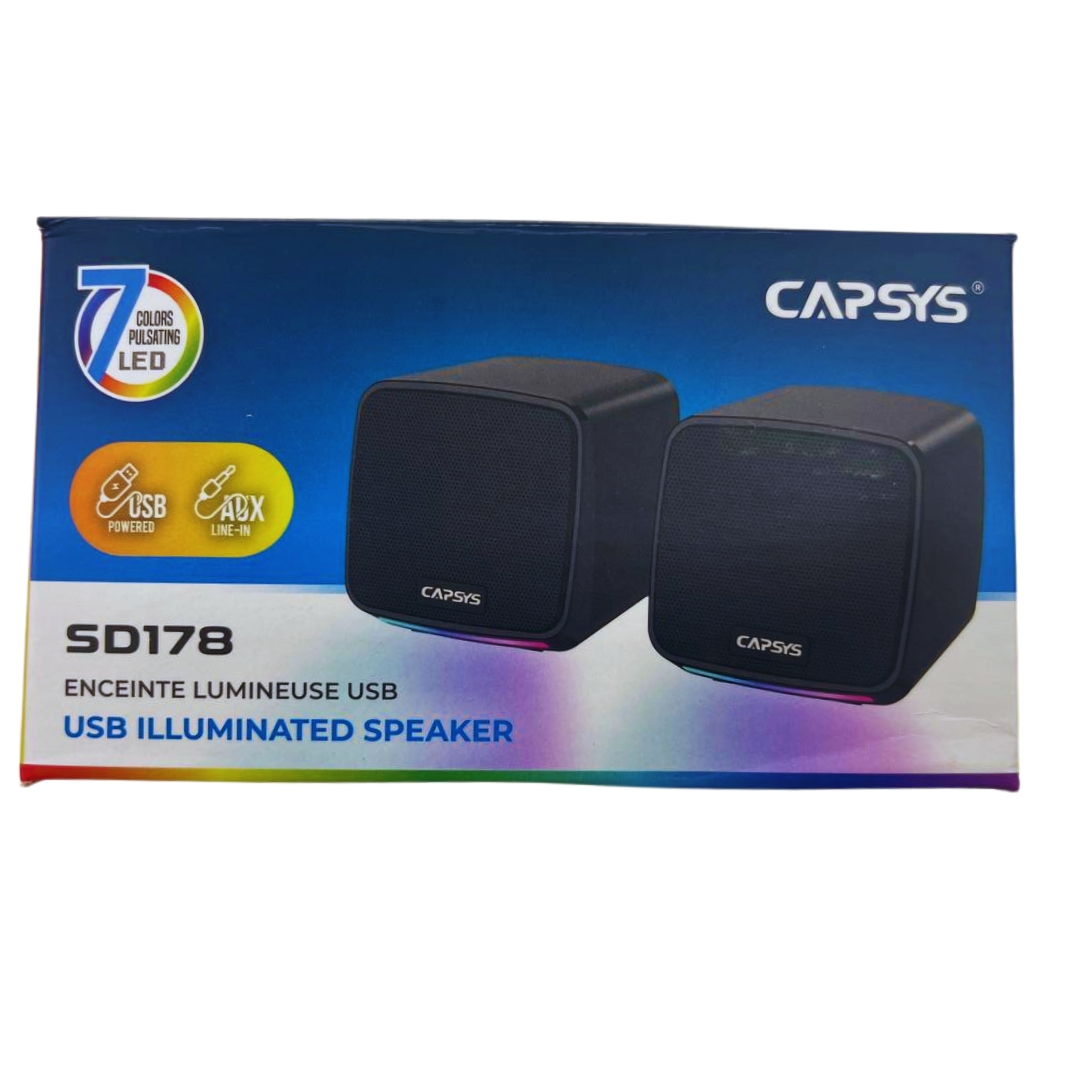 HAUT PARLEUR USB RGB SD178