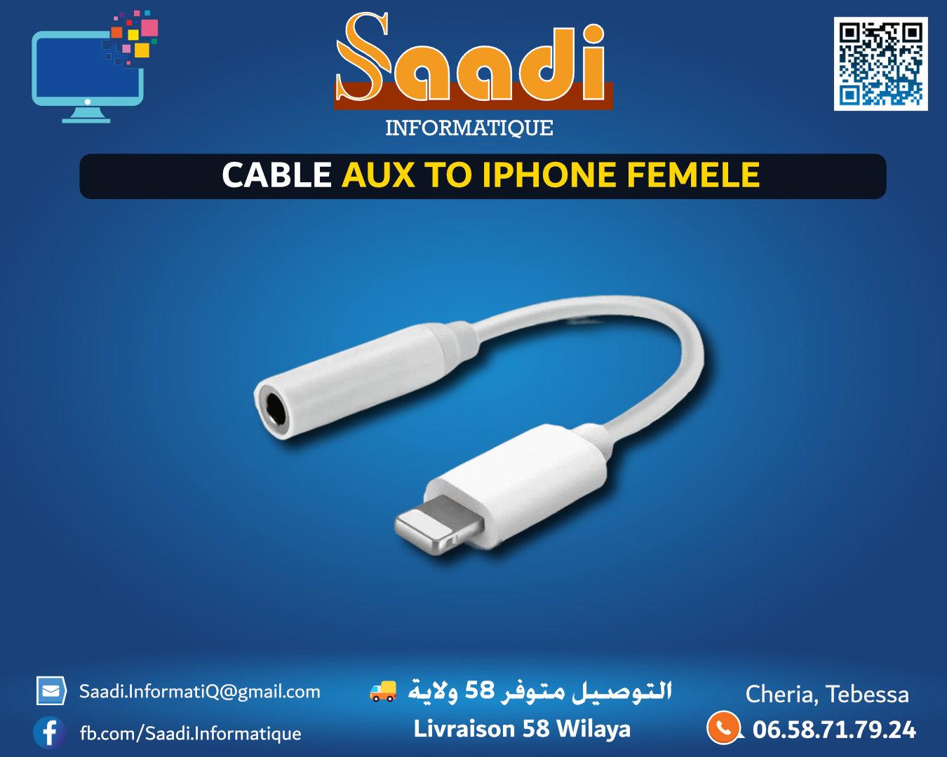 CABLE AUX TO IPHONE FEMELE