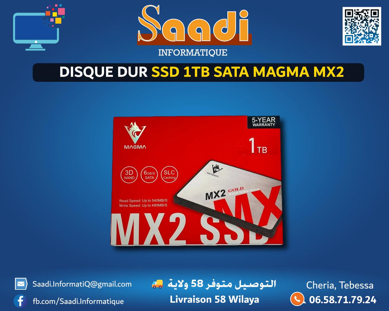 DISQUE DURE SSD 1TB MAGMA MX2 GOLD