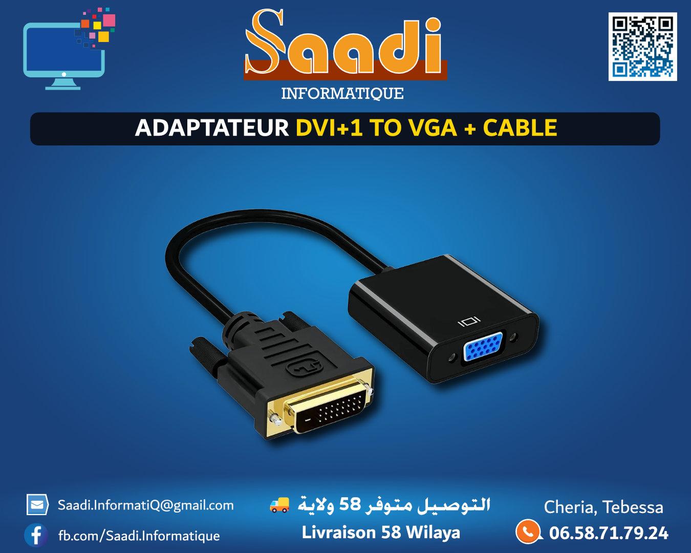 ADAPTATEUR DVI+1 TO VGA + CABLE