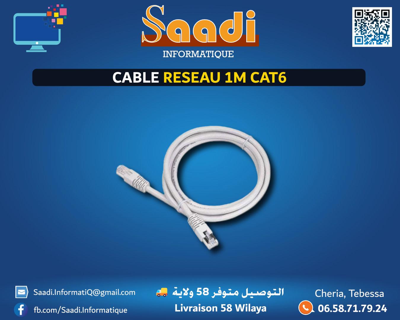 CABLE RESEAU 1M CAT6