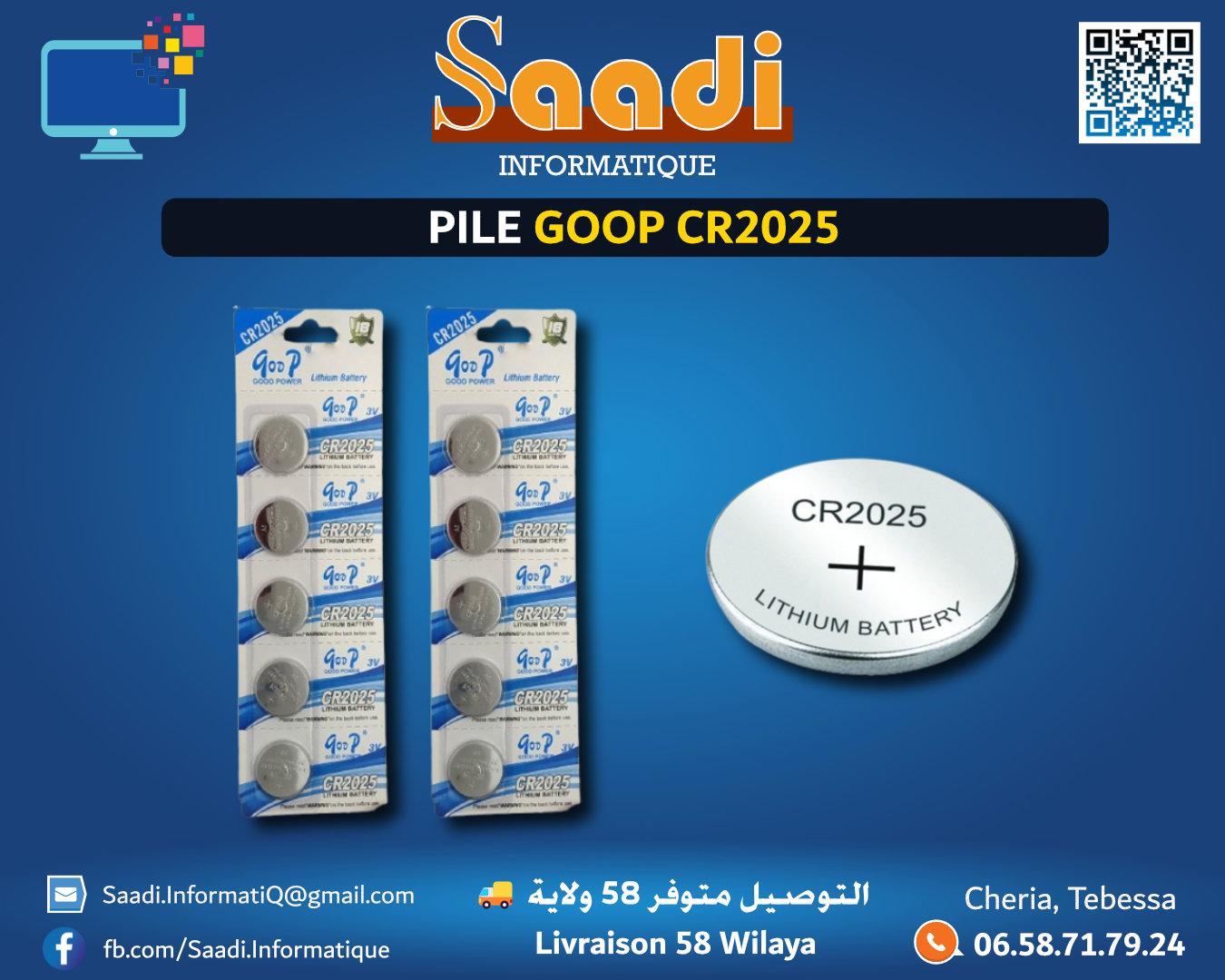 PILE GOOP CR2025