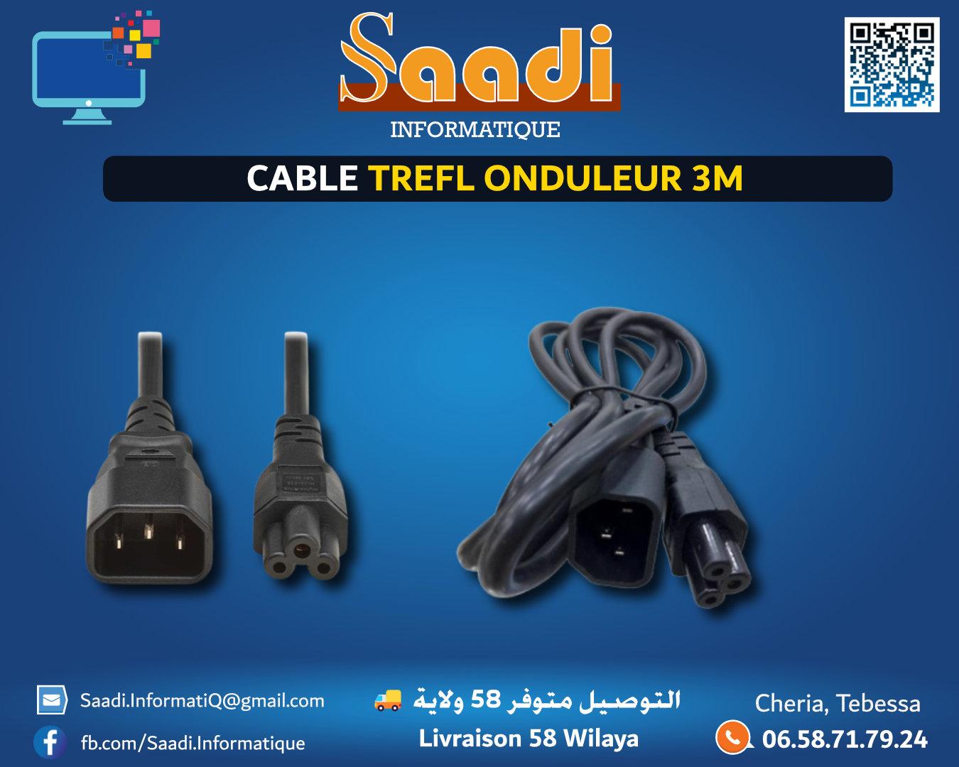 CABLE TREFLE ONDULEUR 3M