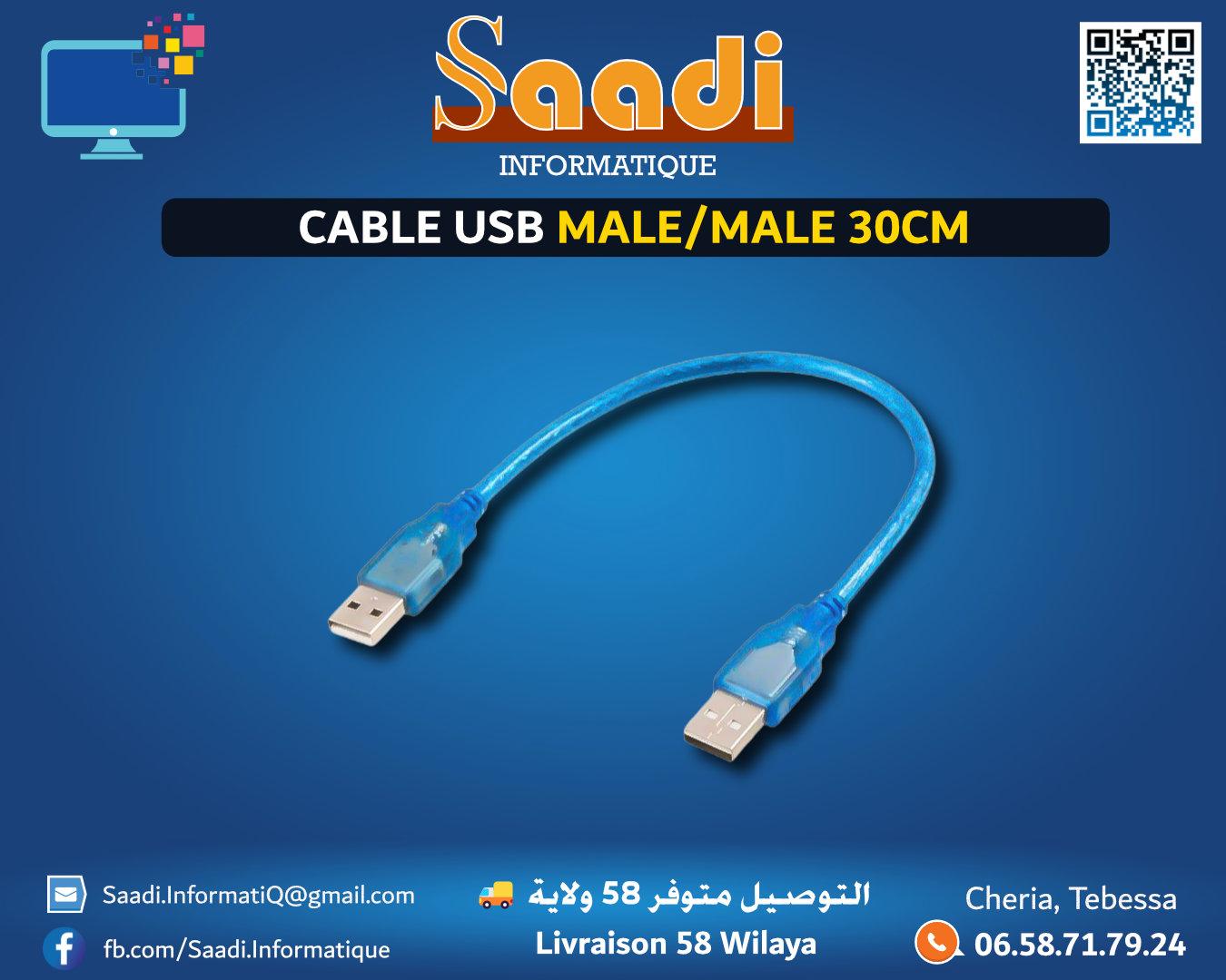 CABLE USB MALE/MALE 30CM