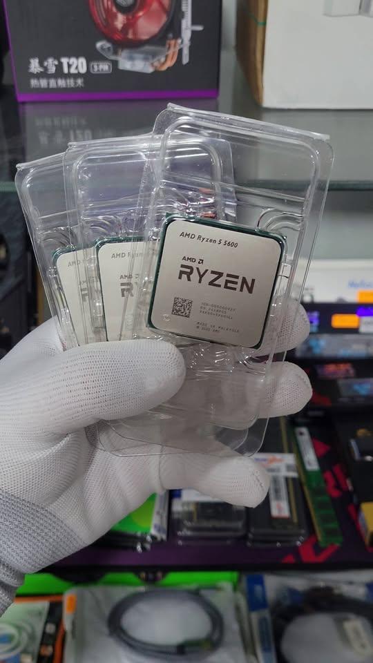 Processeur AMD Ryzen 5 5600 TRAY