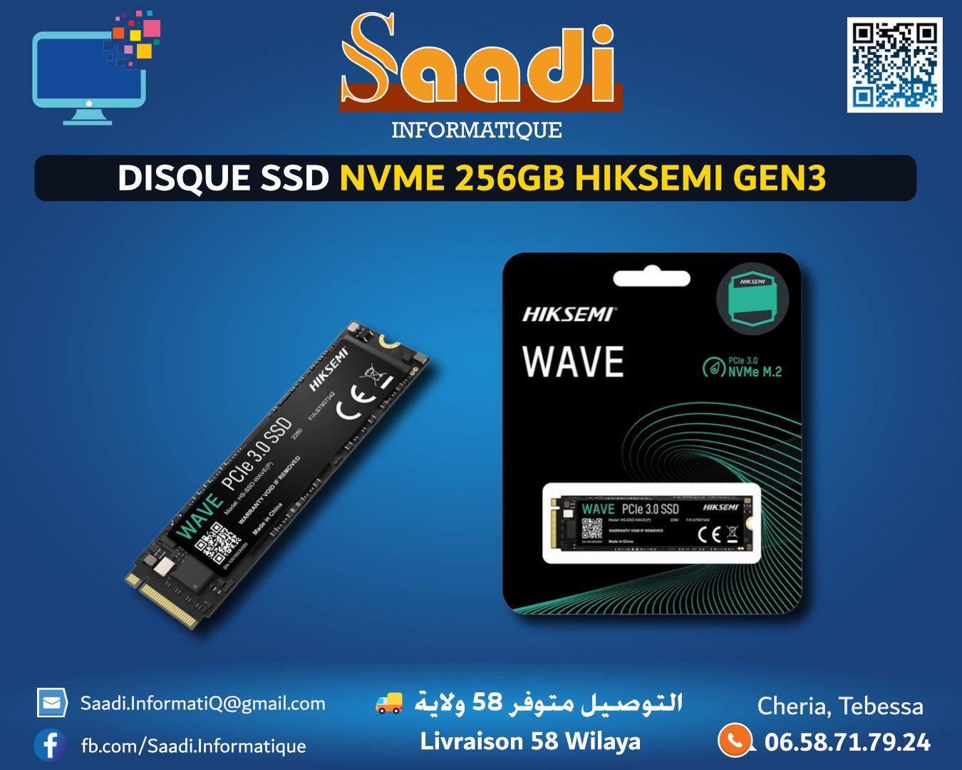 DISQUE SSD NVME 256GB HIKSEMI