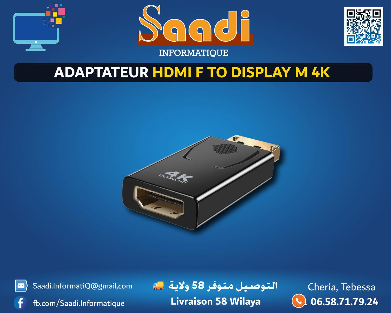 ADAPTATEUR HDMI F TO DISPLAY M 4K