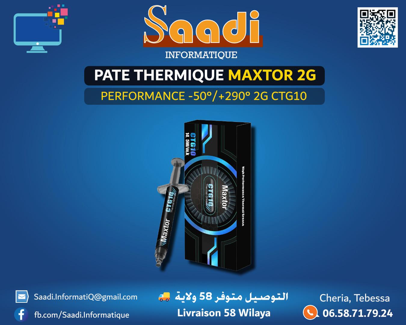 PATE THERMIQUE MAXTOR 2G CTG10
