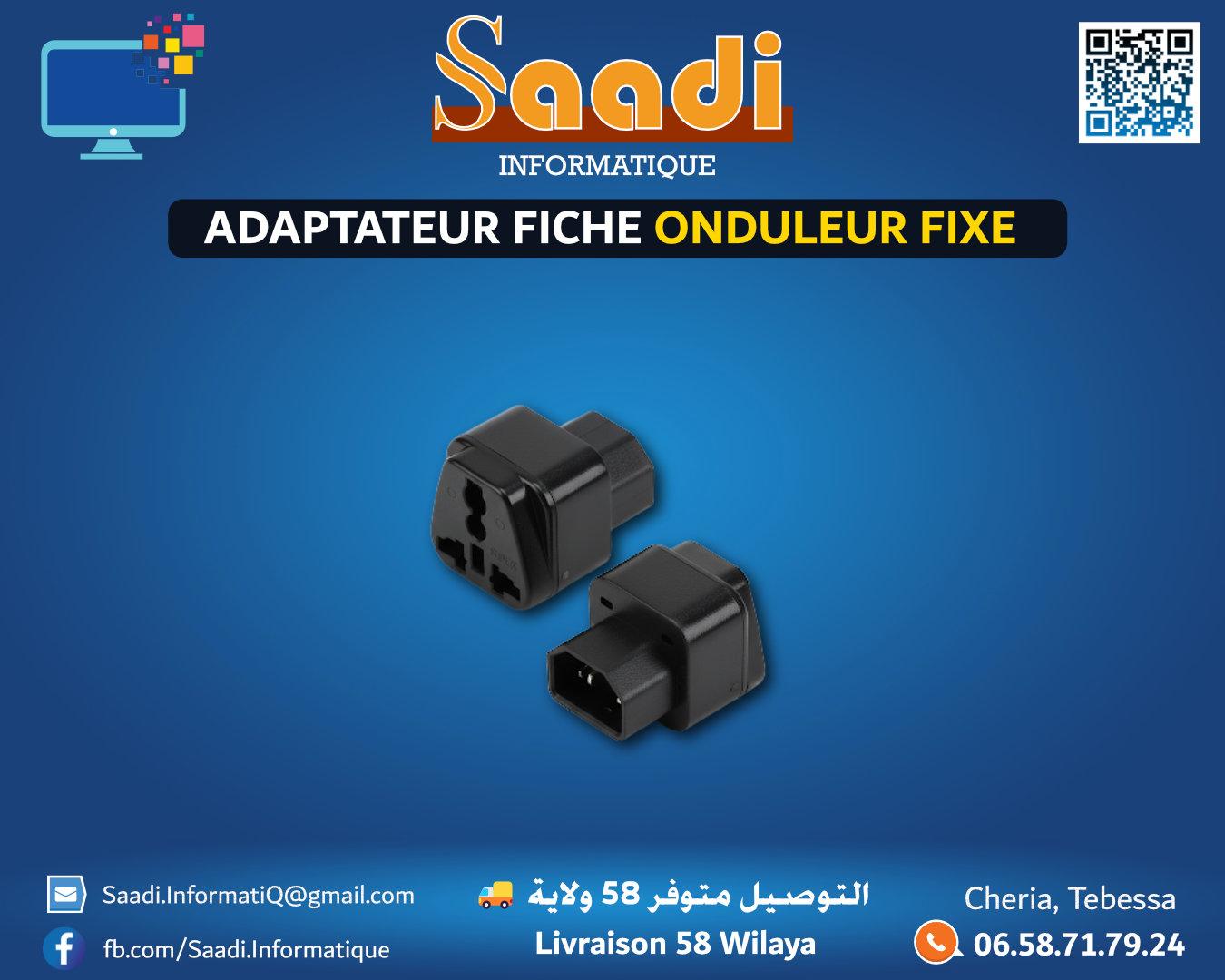 ADAPTATEUR FICHE ONDULEUR FIXE