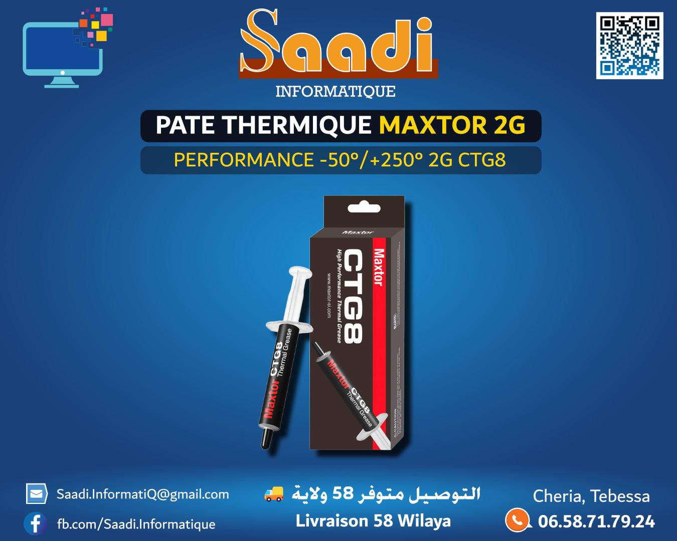 PATE THERMIQUE MAXTOR 2G CTG8