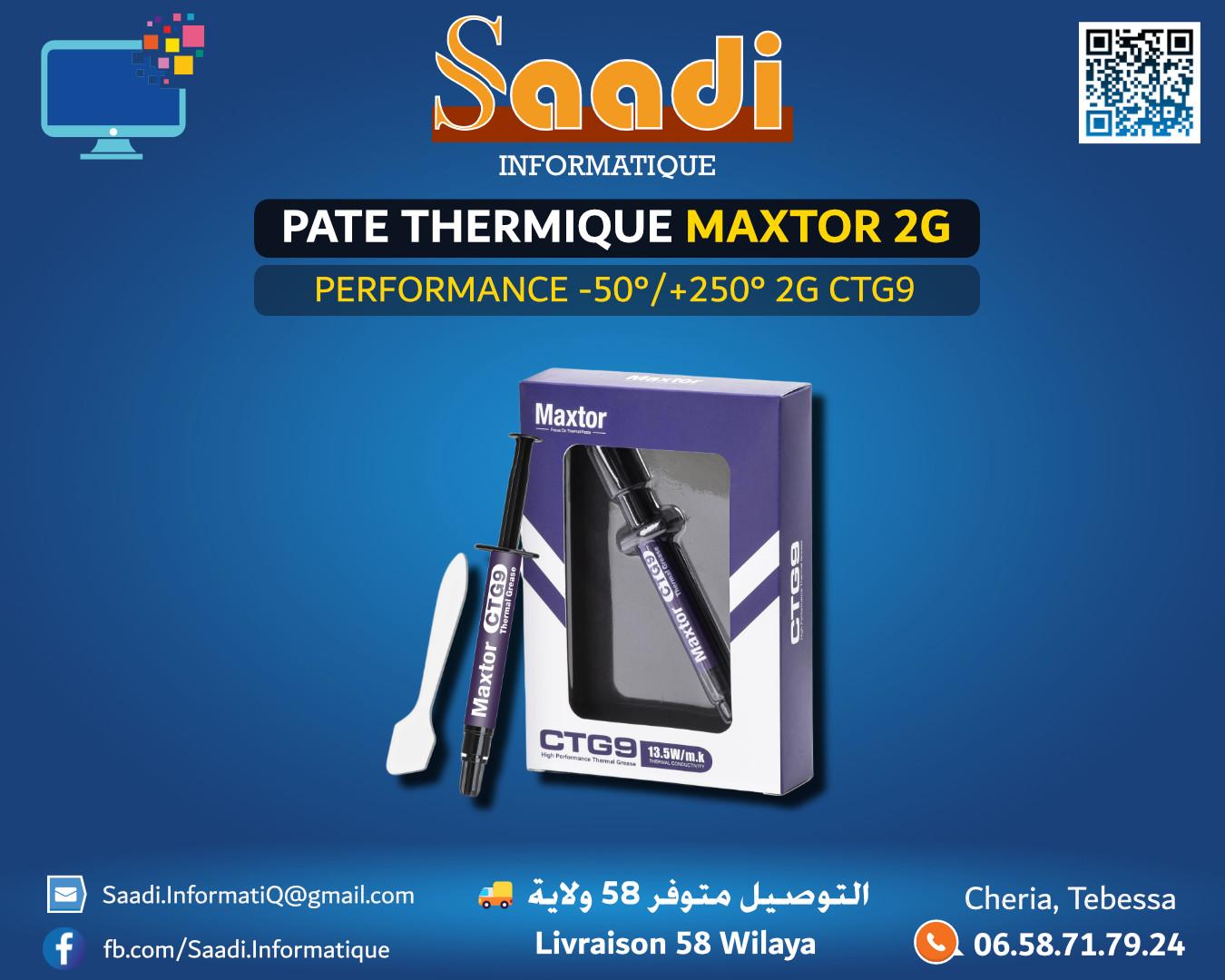 PATE THERMIQUE MAXTOR 2G CTG9