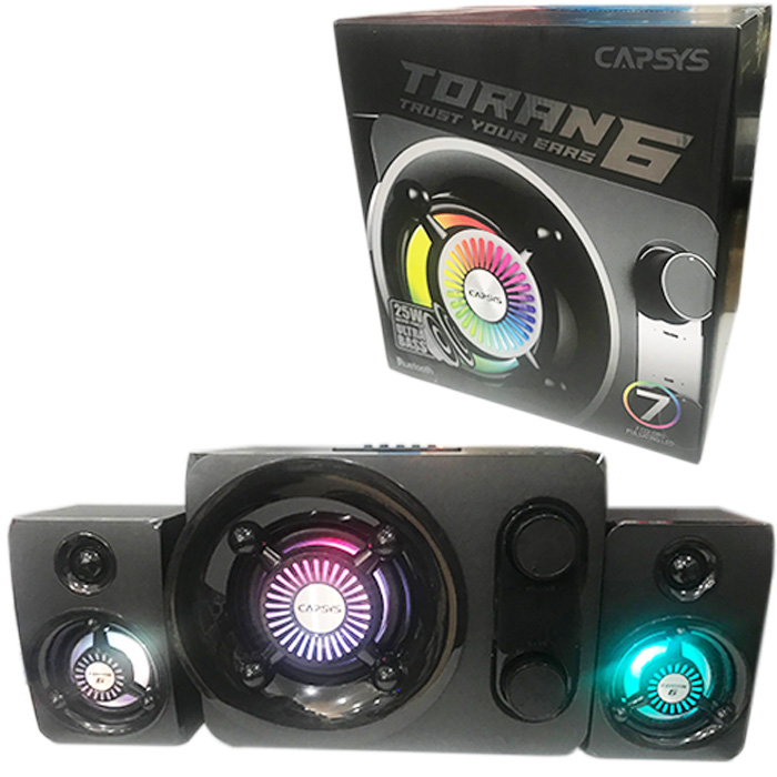 HAUT PARLEUR TORAN 6