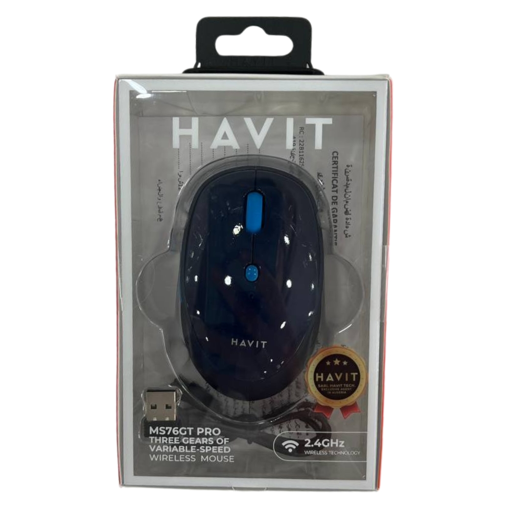 SOURIS SANS FIL RECHARGABLE HAVIT MS76GT PRO