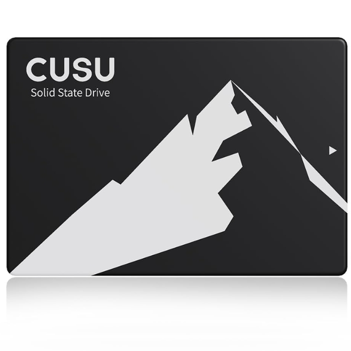 Disque SSD 1TB CUSU 2.5" C300