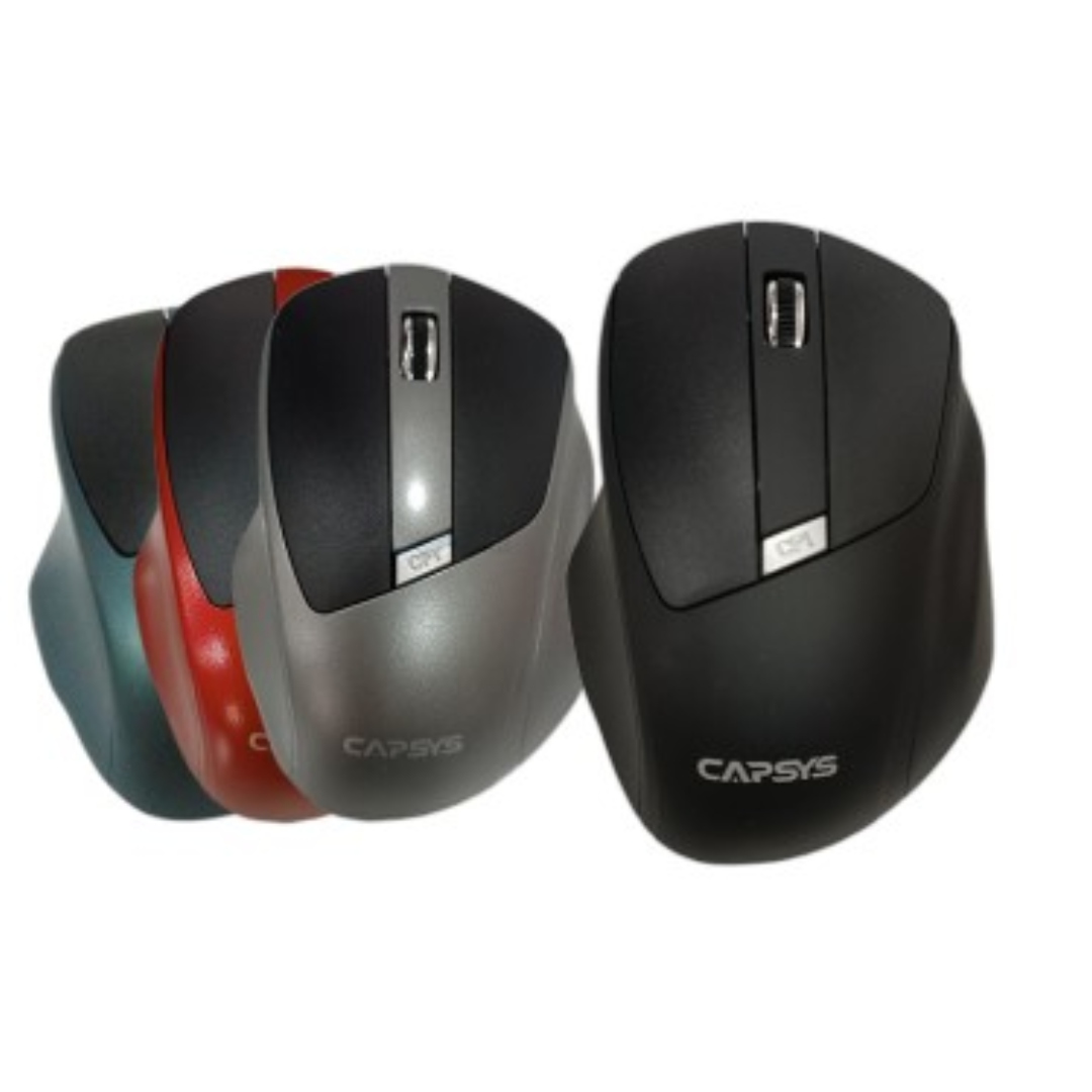 SOURIS Sans fils G-216 20m