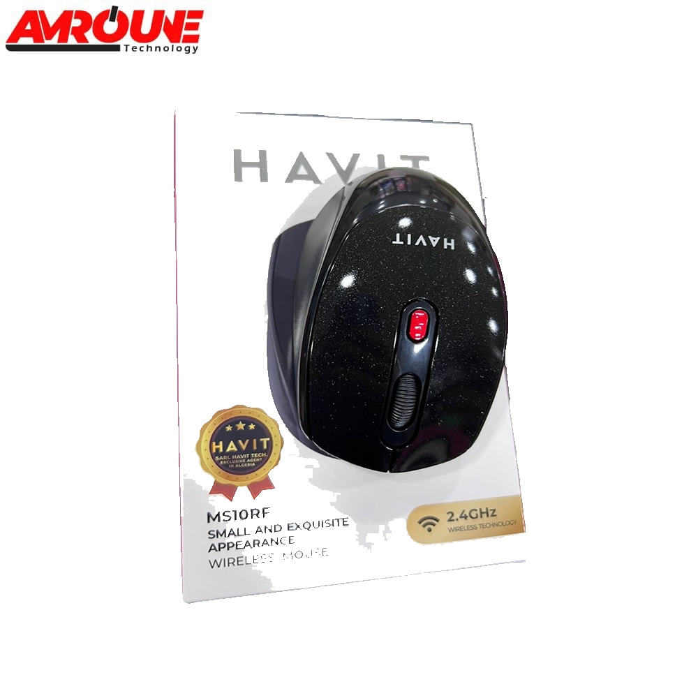 SOURIS SANS FIL HAVIT MS10RF