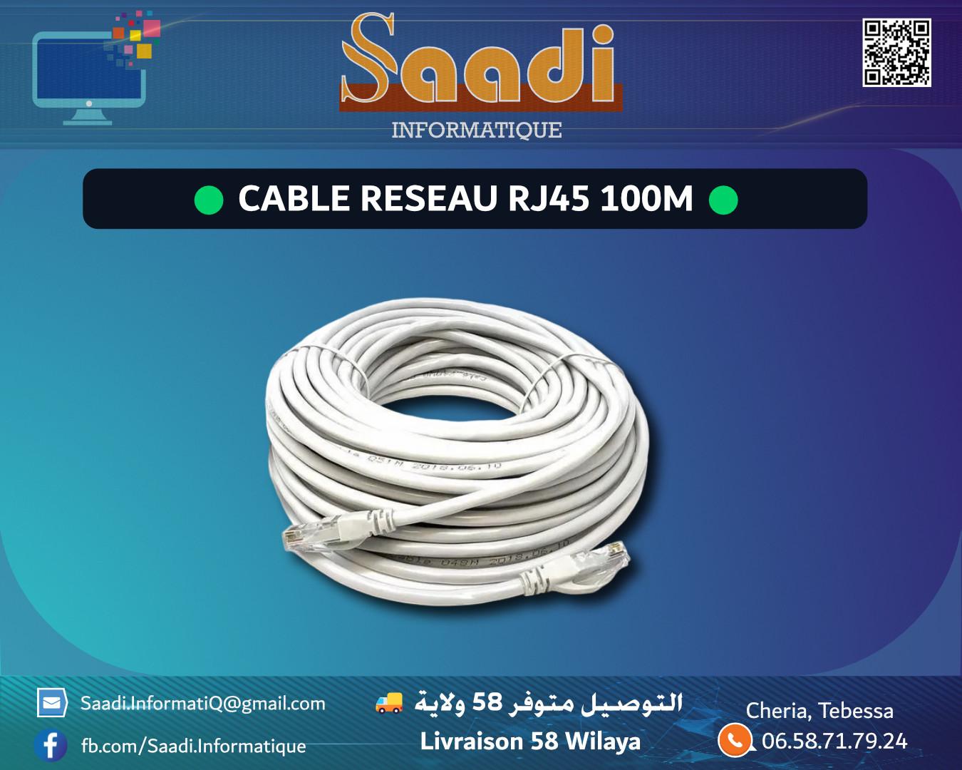 CABLE RESEAU RJ45 100M