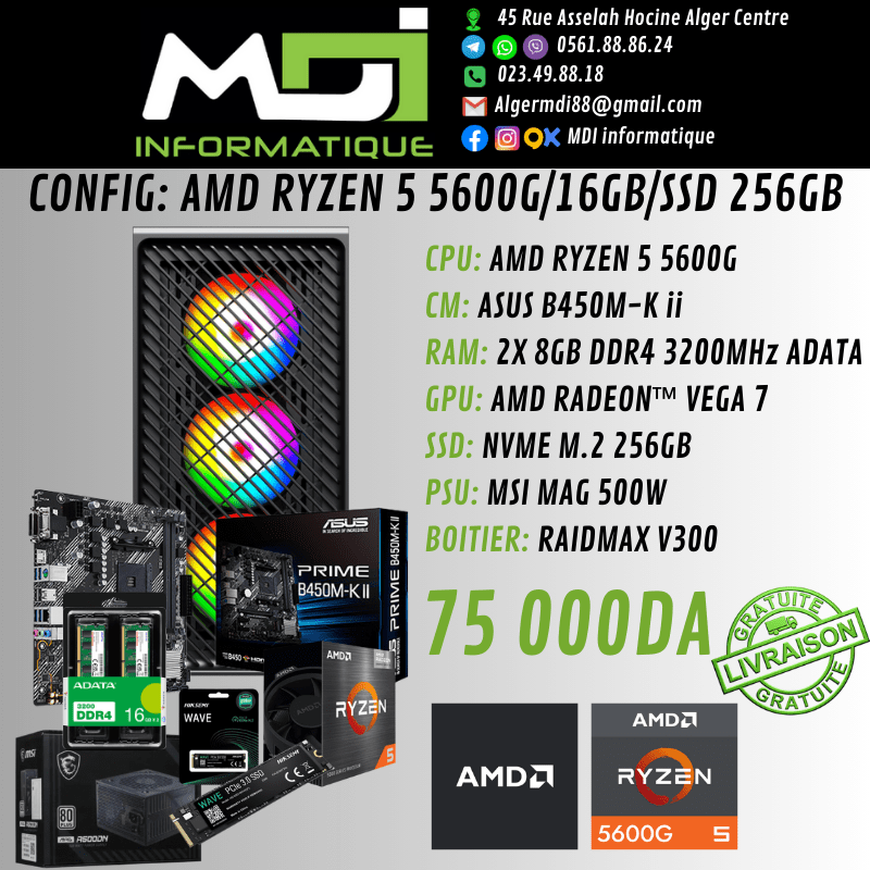 CONFIG GAMING : AMD RYZEN 5 5600G/16GB/SSD 256GB