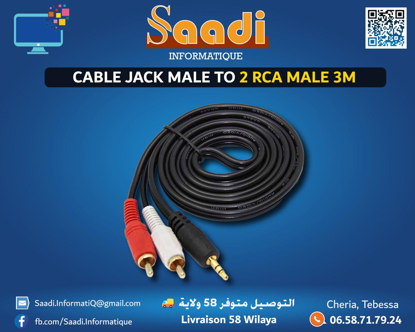 CABLE JACK MALE TO 2 RCA MALE 3M