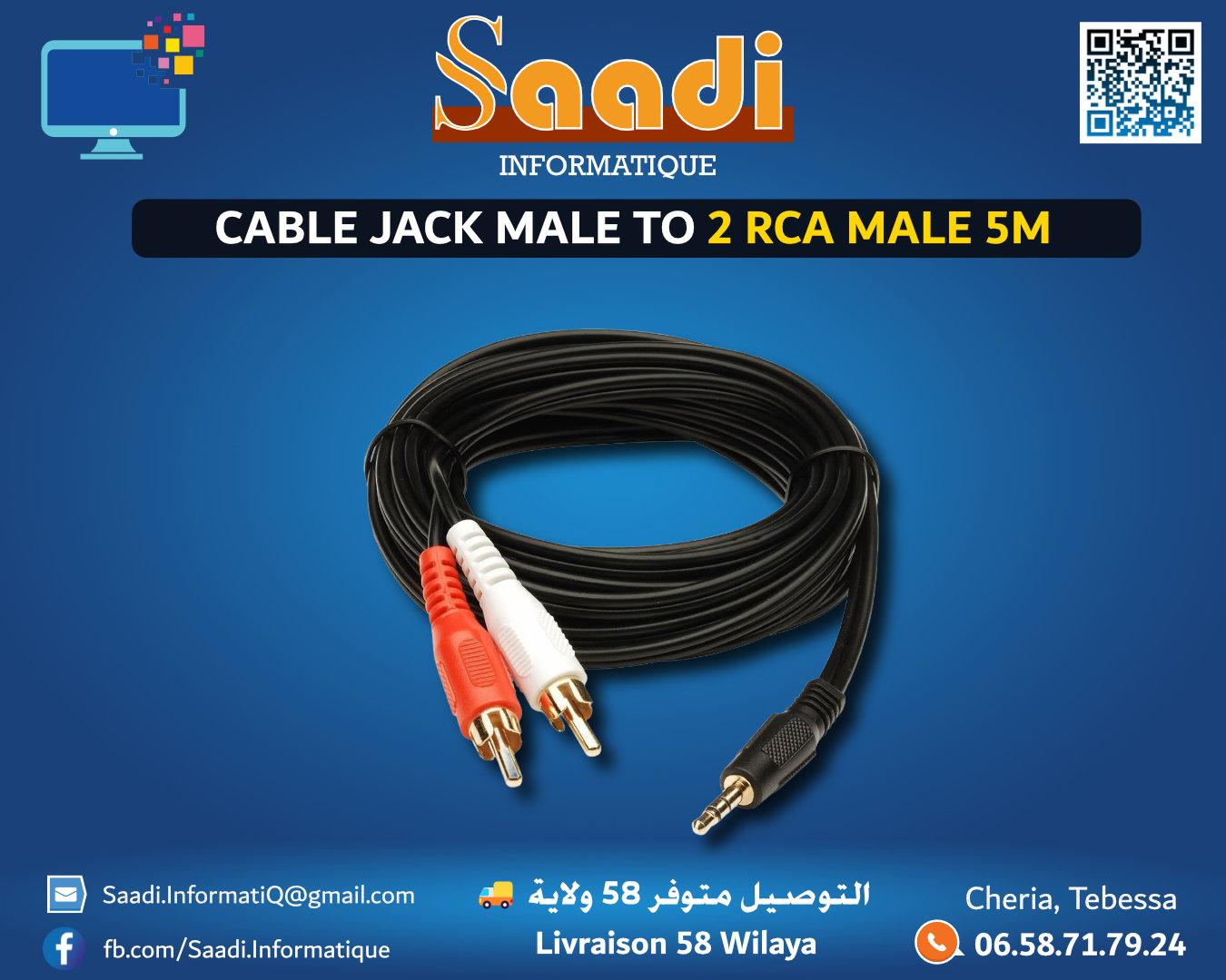 CABLE JACK MALE TO 2 RCA MALE 5M