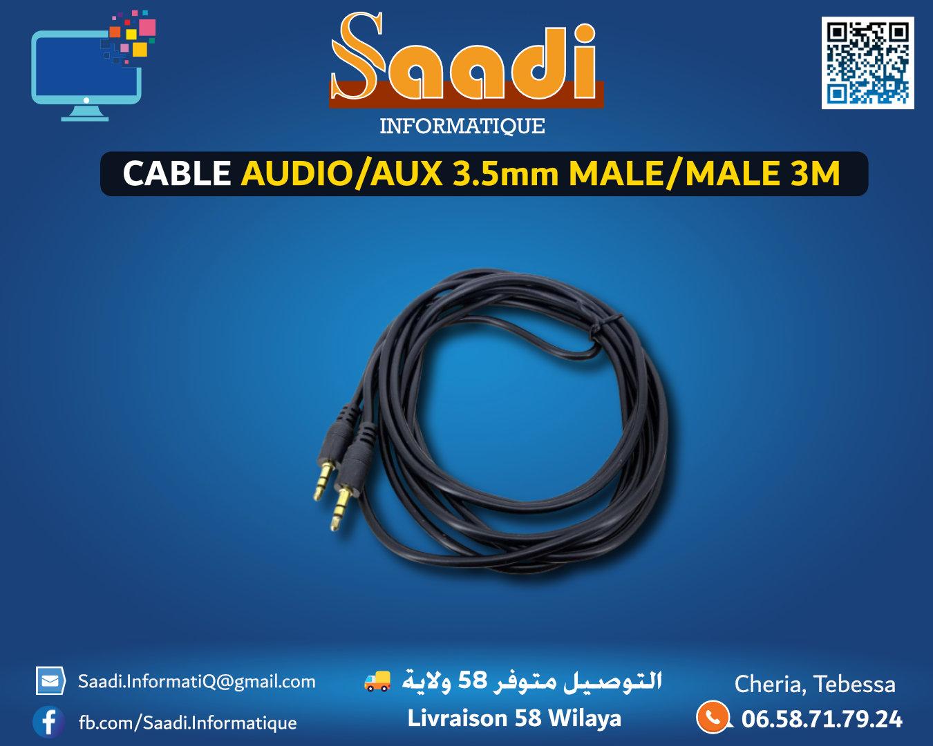 CABLE AUDIO JACK AUXILIAIRE 3.5mm M/M 3M