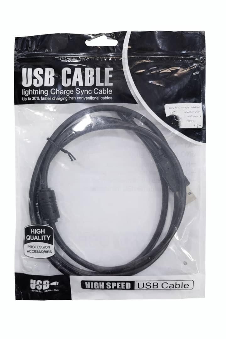 Cable USB 2.0 4 Pin MP4 1.2M