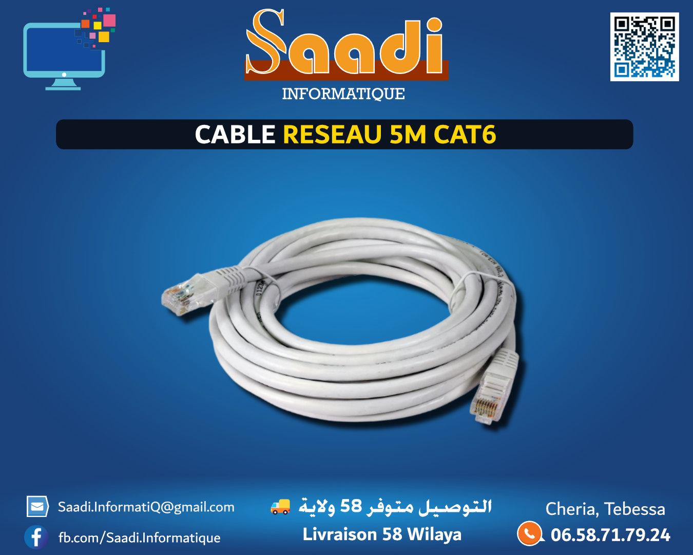 CABLE RESEAU 5M CAT6