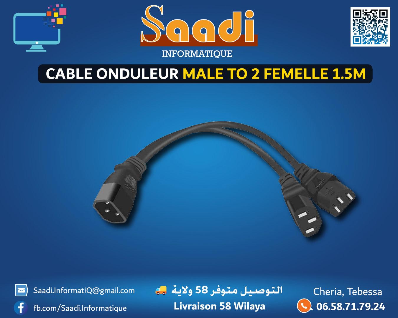 CABLE ONDULEUR MALE VERS 2 FEMELLE