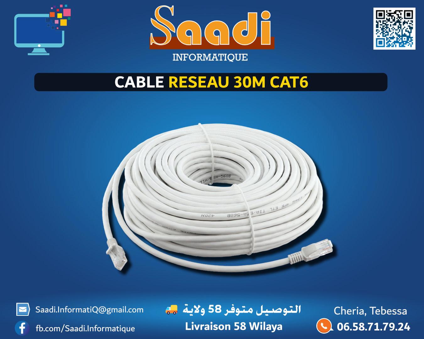 CABLE RESEAU 30M CAT6