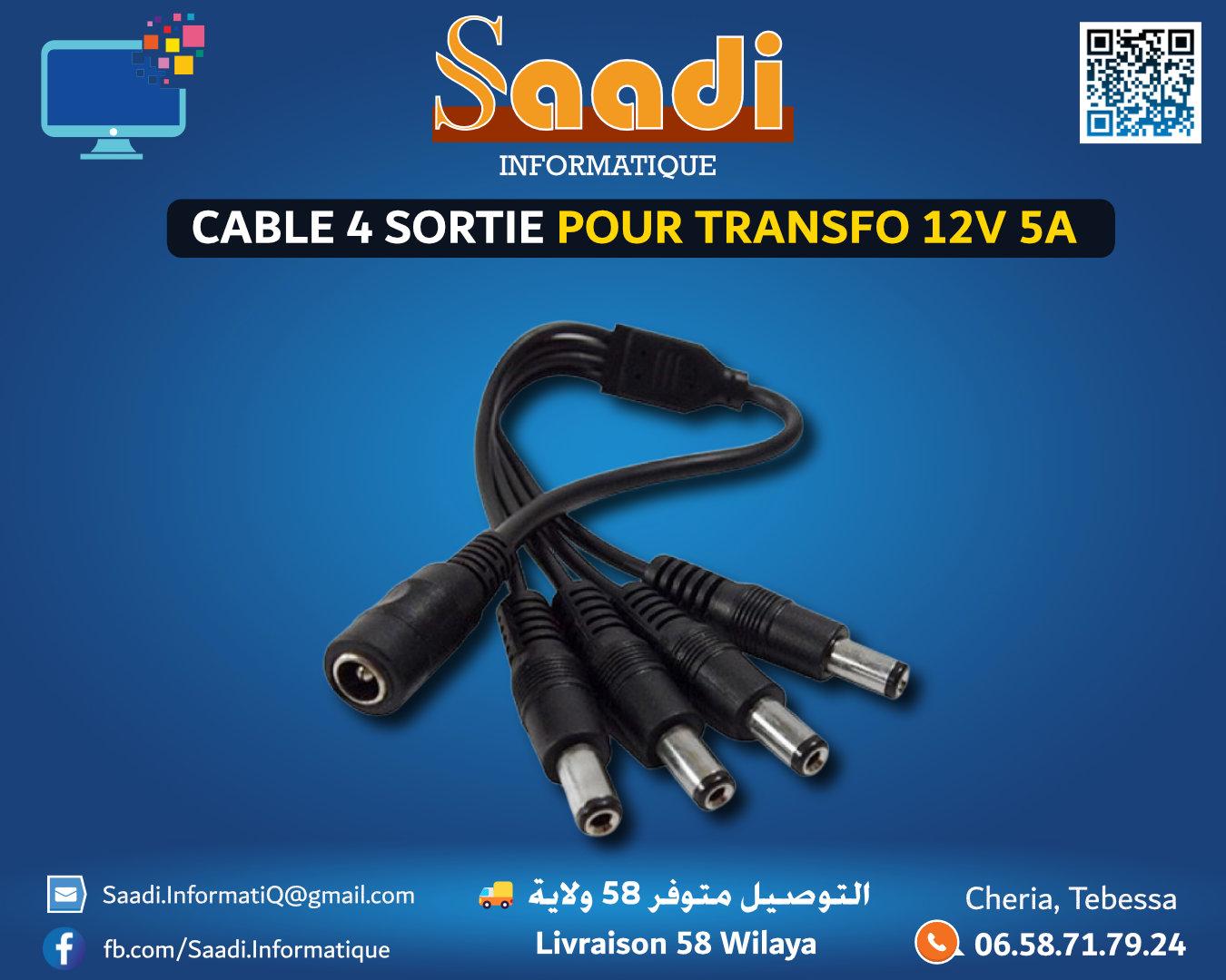 CABLE 4 SORTIE POUR TRANSFO 12V 5A