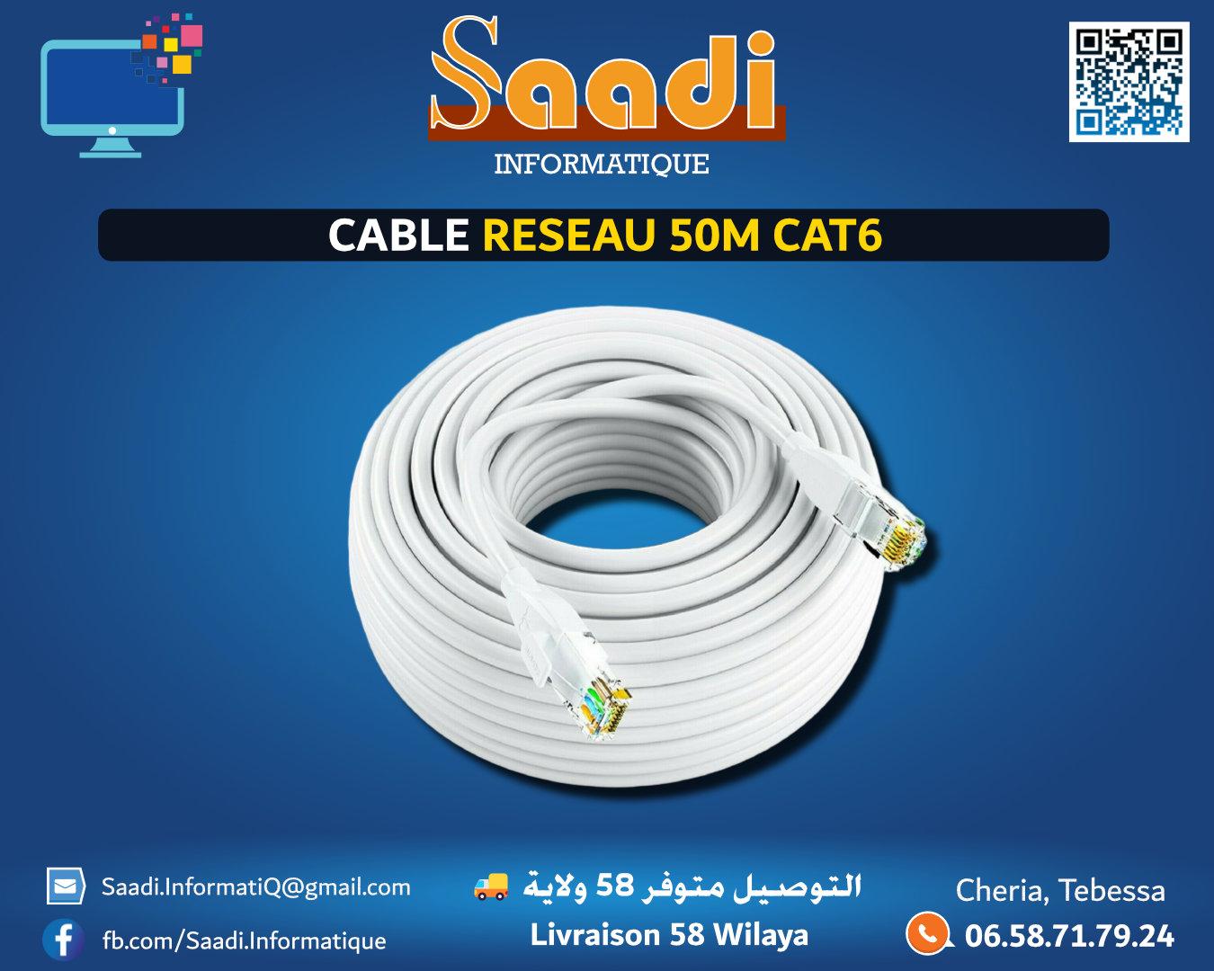 CABLE RESEAU 50M CAT6