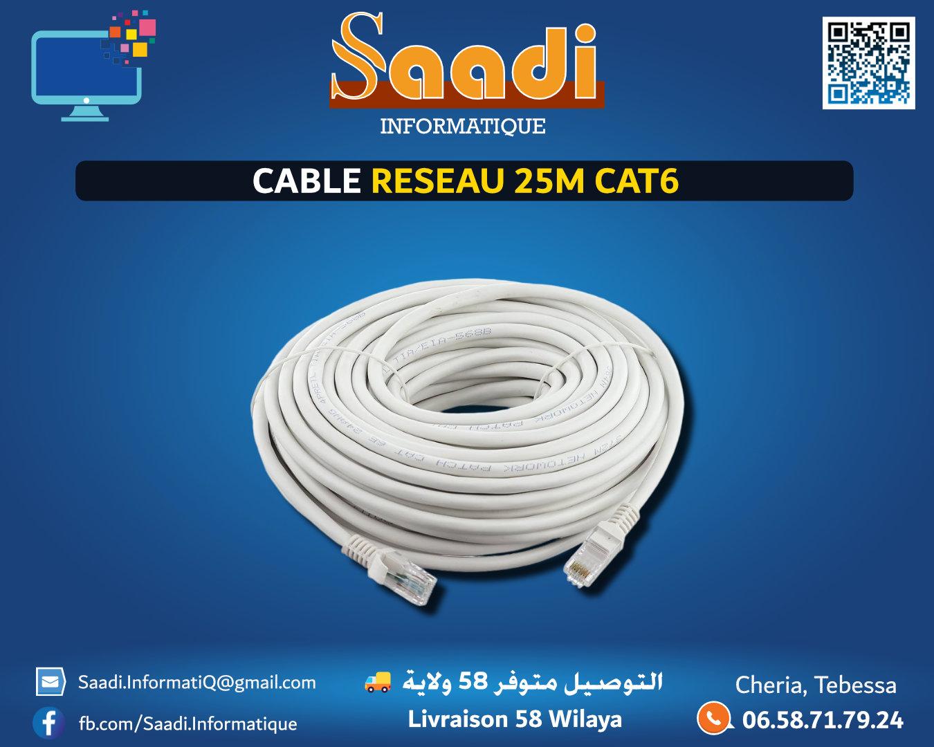 CABLE RESEAU 25M CAT6