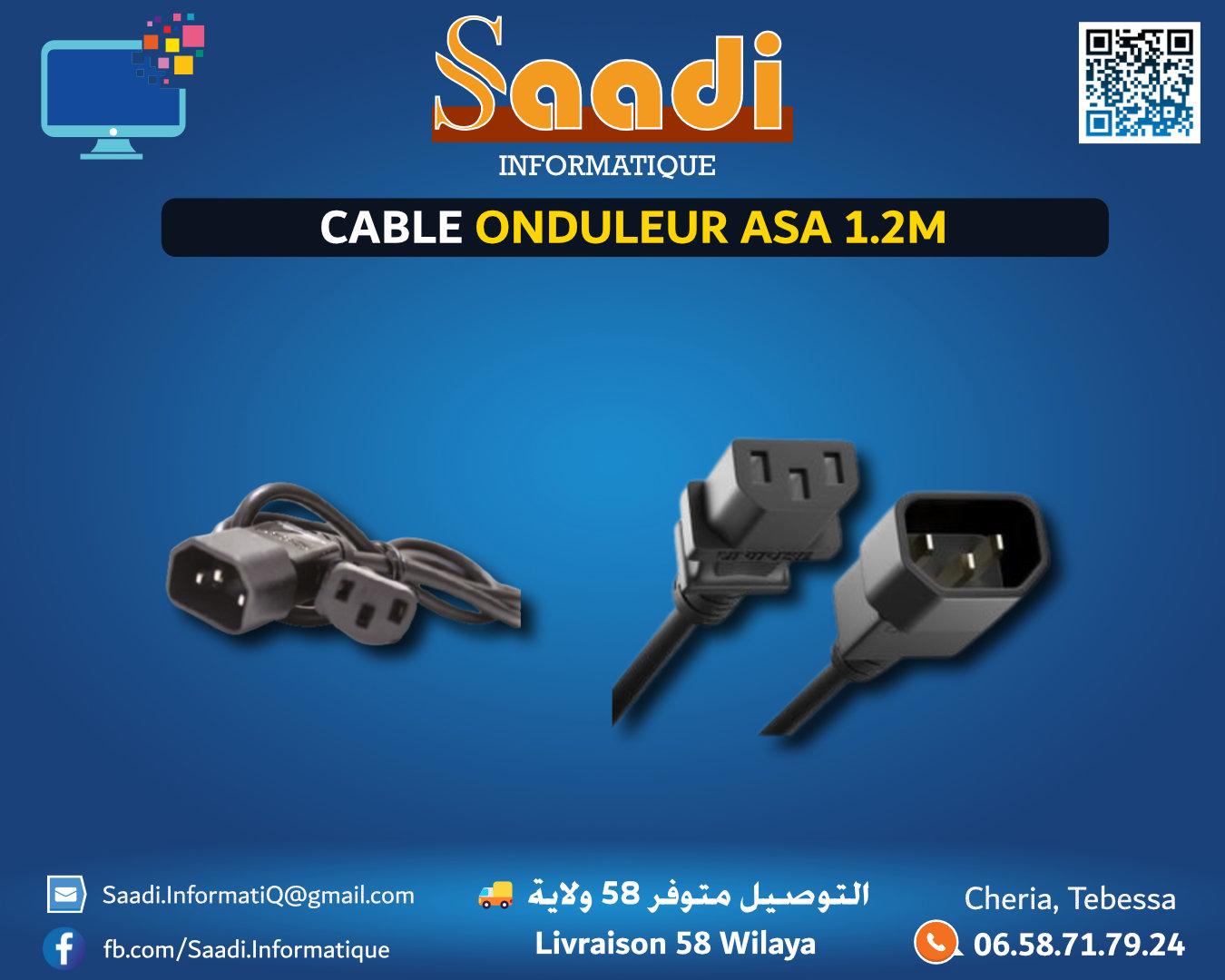 CABLE ONDULEUR ASA 1.2M