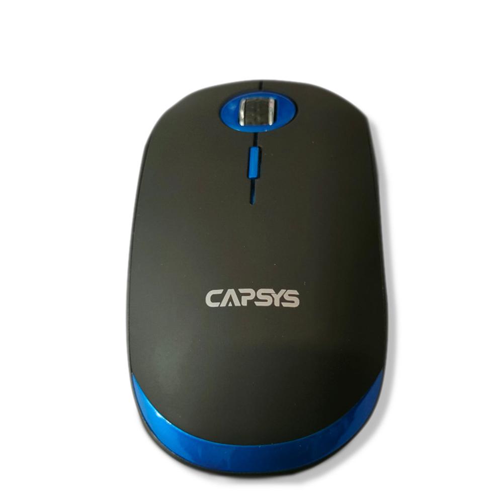 SOURIS Sans fils W660