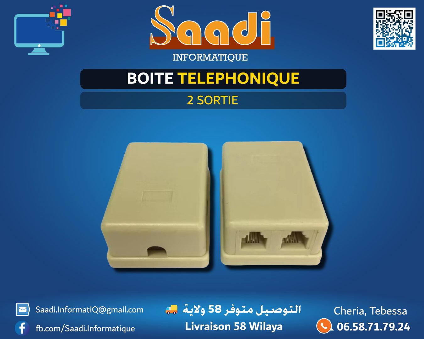 BOITE TELEPHONIQUE 2 SORTIE