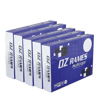 PAPIER DZ RAMES 80G