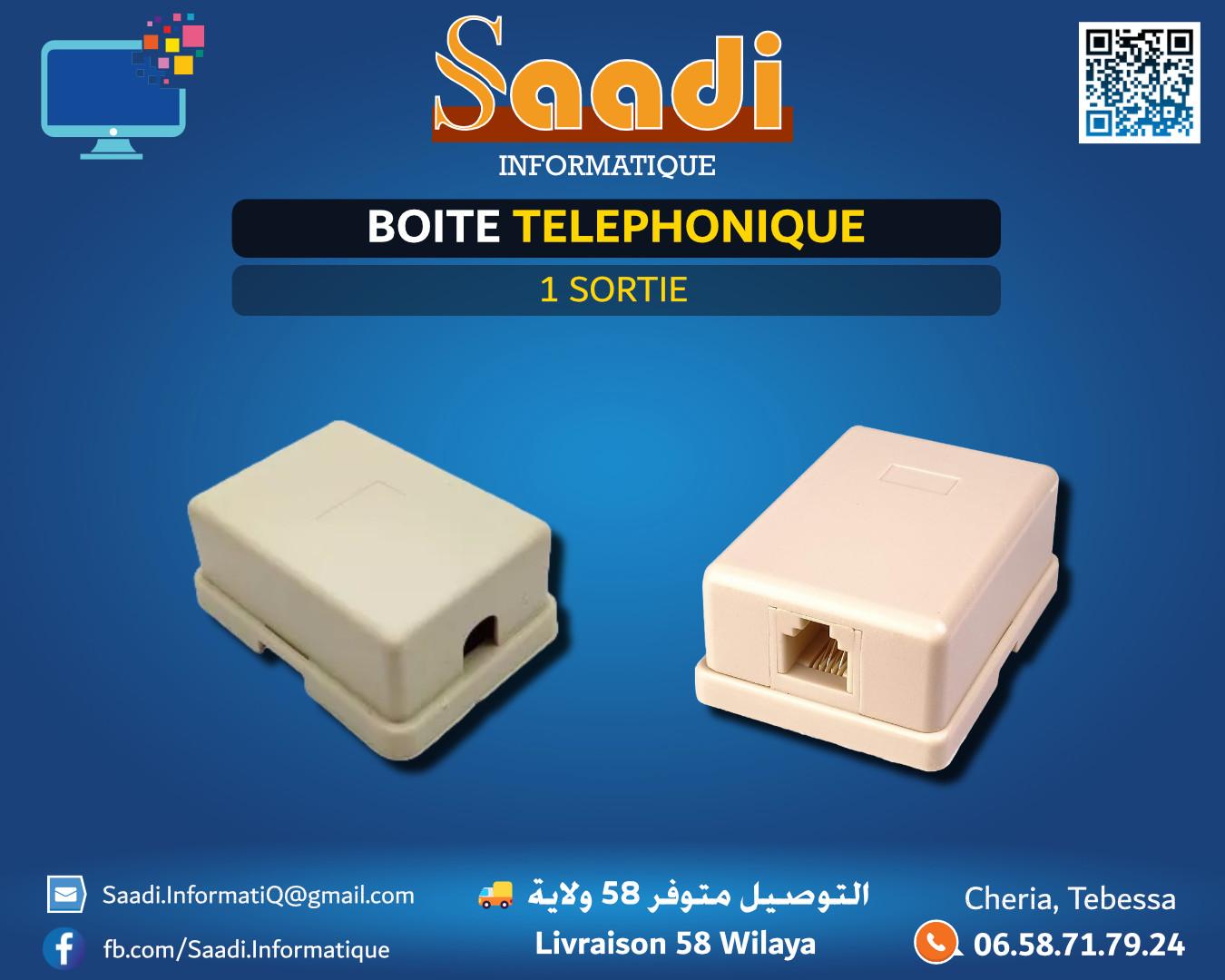 BOITE TELEPHONIQUE 1 SORTIE
