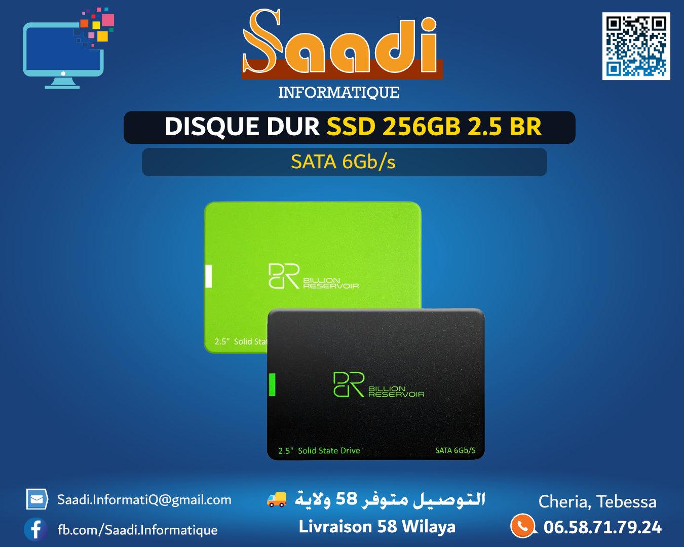 DISQUE DUR SSD 256GB 2.5 BR