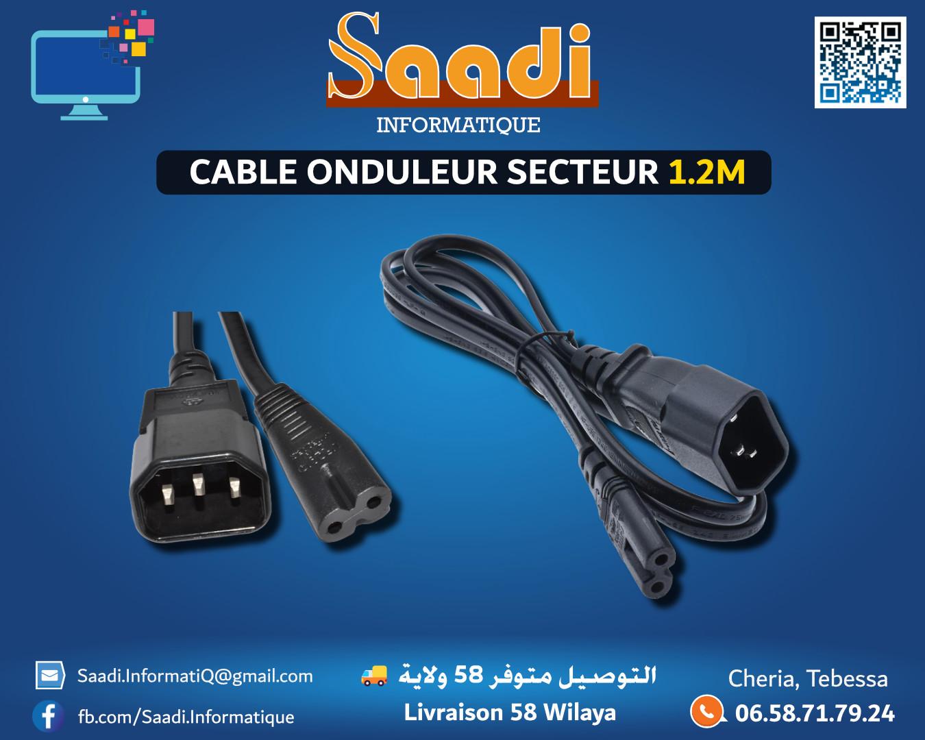CABLE ONDULEUR SECTEUR 1.2M
