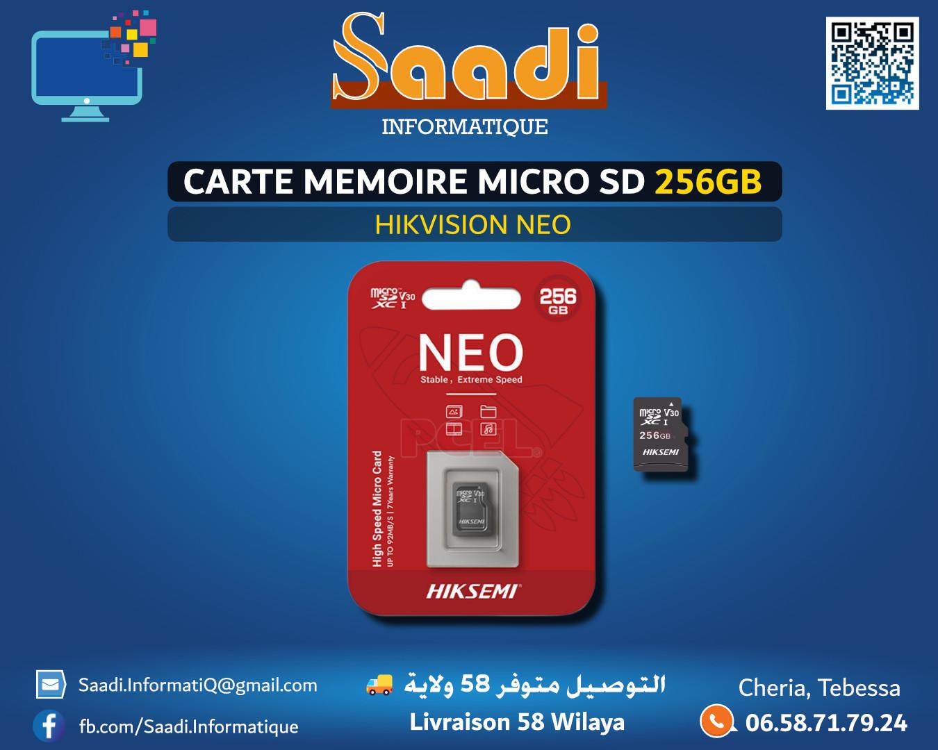 CARTE MEMOIRE MICRO SD HIKVISION NEO 256GB